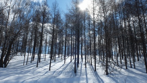 DSCF8824
