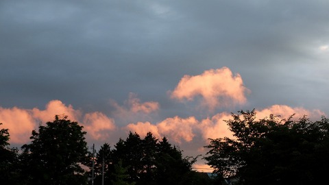 DSCF0346