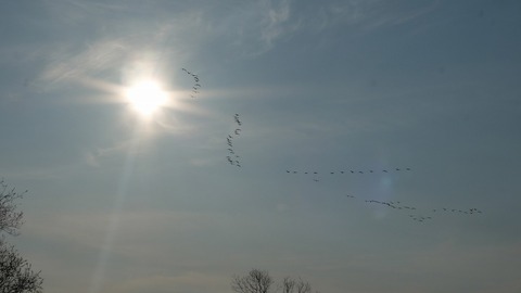DSCF7587