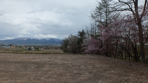 DSCF8720