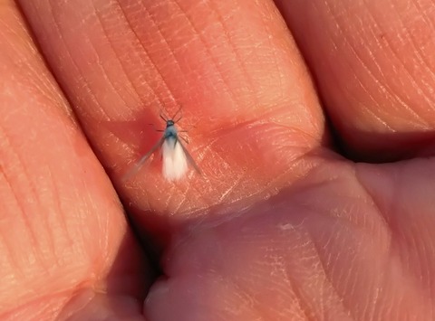 20241030_153214 - コピー