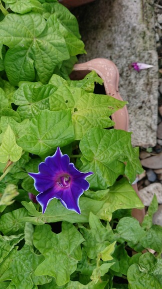 DSC_0037 (1024x576) (2)