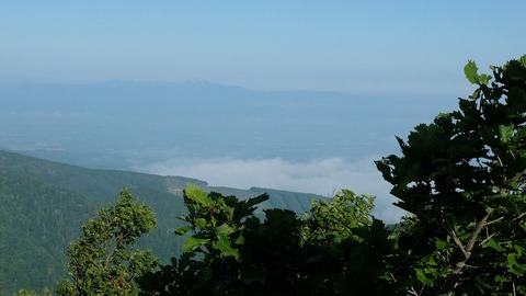 DSCF0497