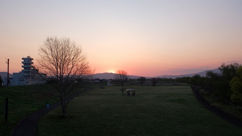 DSCF8921