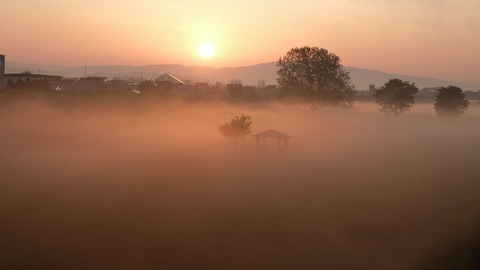 DSCF9668