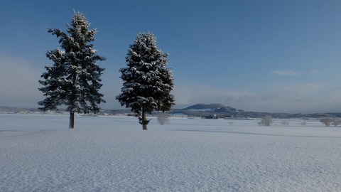 DSCF6937