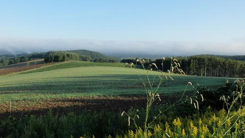 DSCF3902