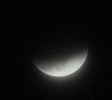 DSCF0240 - コピー