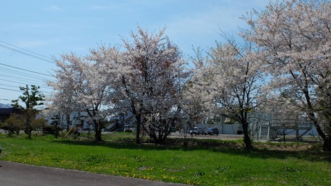 DSCF9007