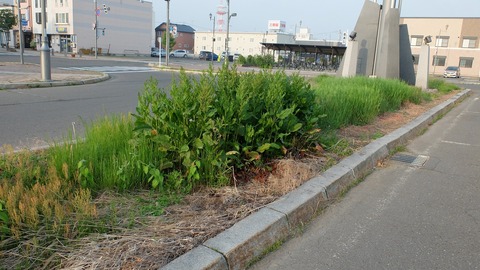 DSCF9751