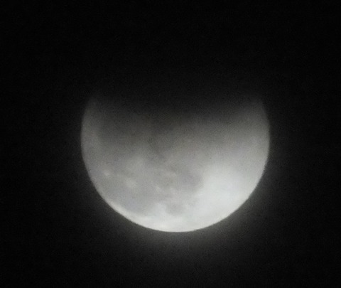 DSCF0251 - コピー