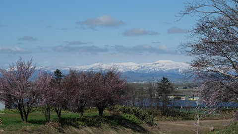 DSCF8651
