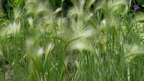 DSCF0596