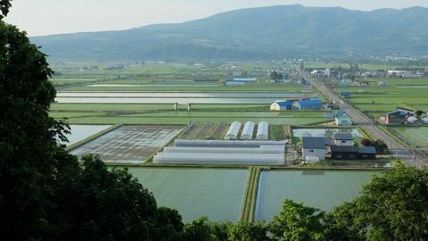 DSCF9604
