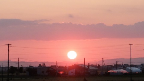 DSCF0452