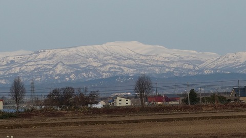 DSCF8008
