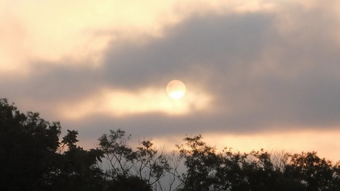 DSCF0017