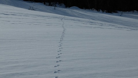 DSCF0417 (1024x576)