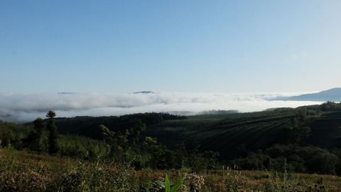 DSCF3929