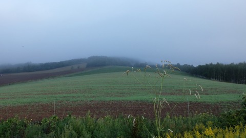 DSCF3888