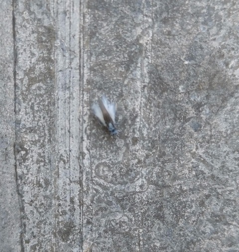 20251026_124727 - コピー