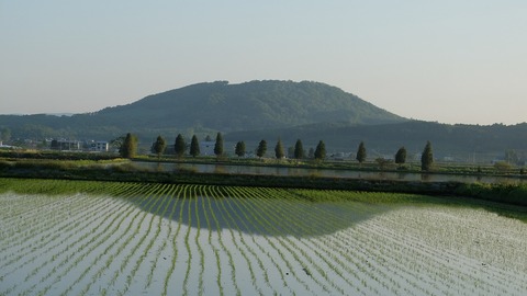 DSCF9439