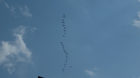 DSCF9580