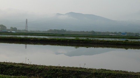 DSCF9355