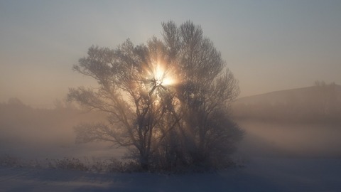 DSCF4955 (1024x576)