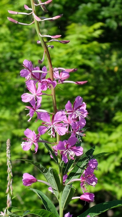 DSCF0562