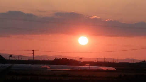 DSCF0444