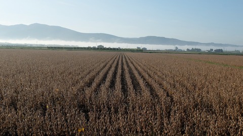 DSCF4418