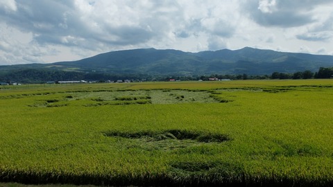 DSCF5915