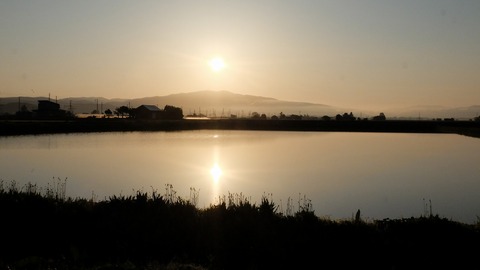 DSCF9424