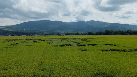 DSCF5909