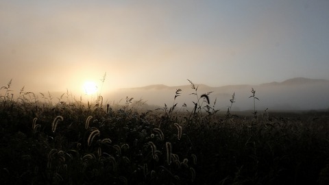 DSCF3892