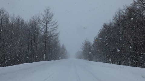 DSCF6763