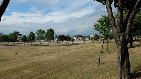 DSCF2365