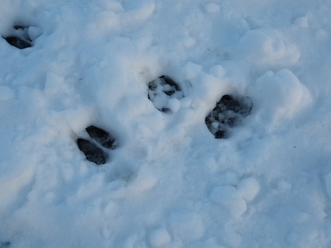 .pending-1732689247-20241120_153406