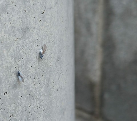 20251026_124847 - コピー