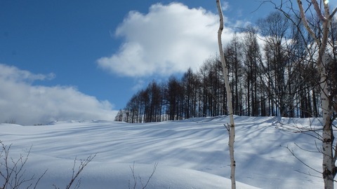 DSCF8830