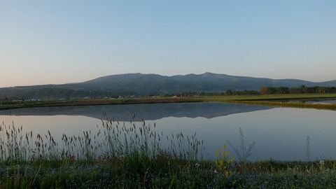DSCF9421