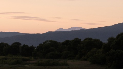 DSCF0106