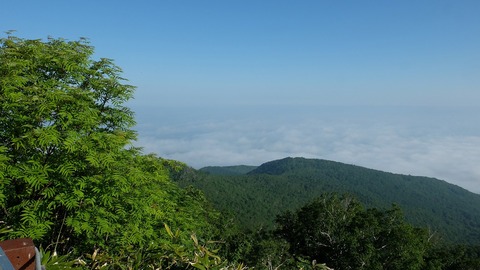 DSCF0495