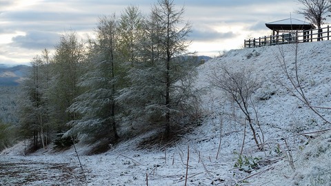 DSCF8954