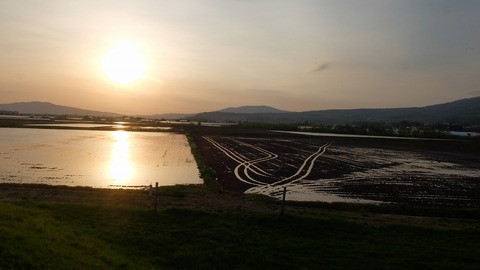 DSCF9031