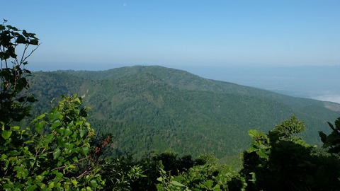 DSCF0496