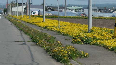 DSCF9276