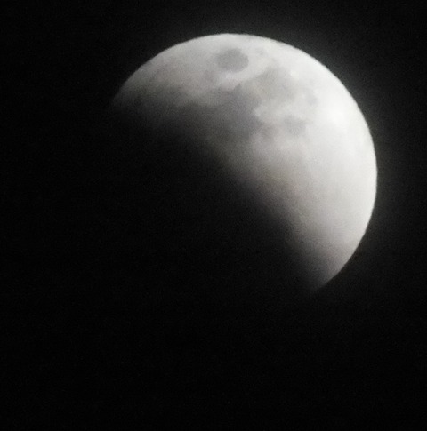 DSCF0160 - コピー