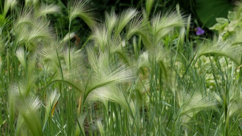 DSCF0597